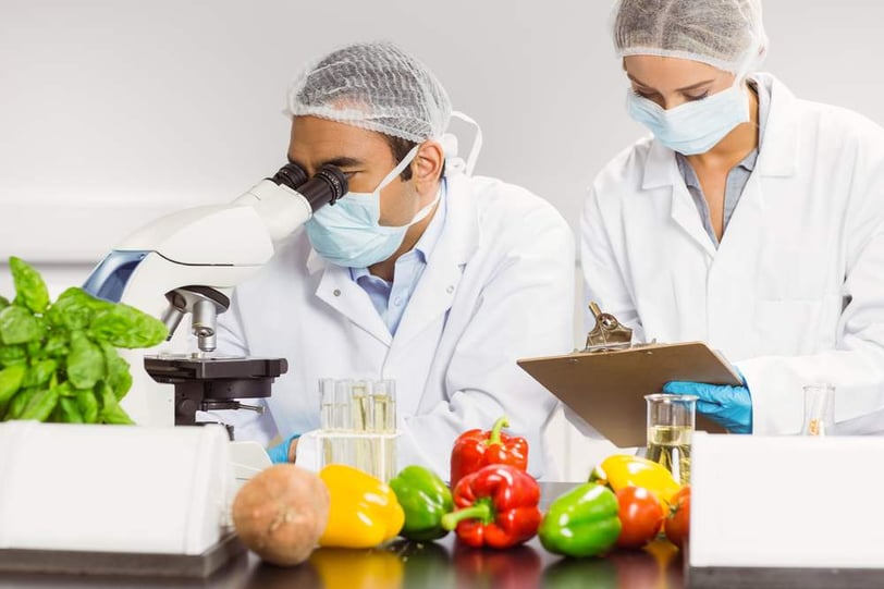 Food scientists using the microscope for research at the university