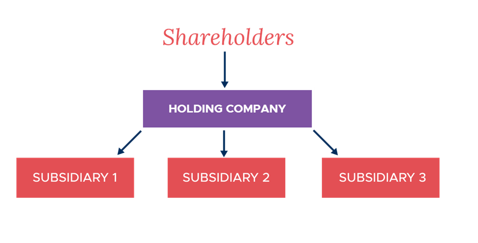 Holding company group structure