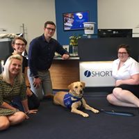 Sheffield office visit of Support Dogs