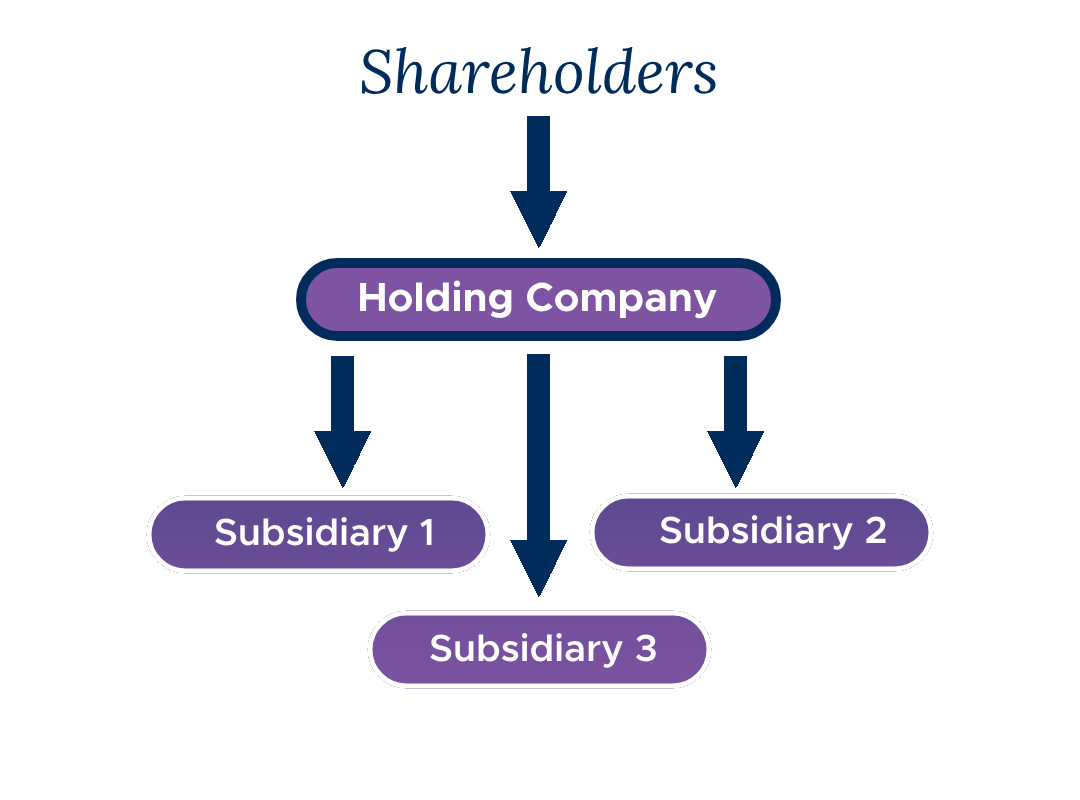 Holding Company Explained - Advantages, Purpose & Eligibility